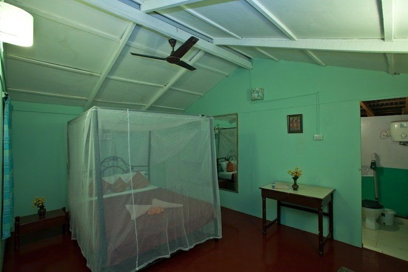Bed and Breakfast Cuba Агонда Екстер'єр фото