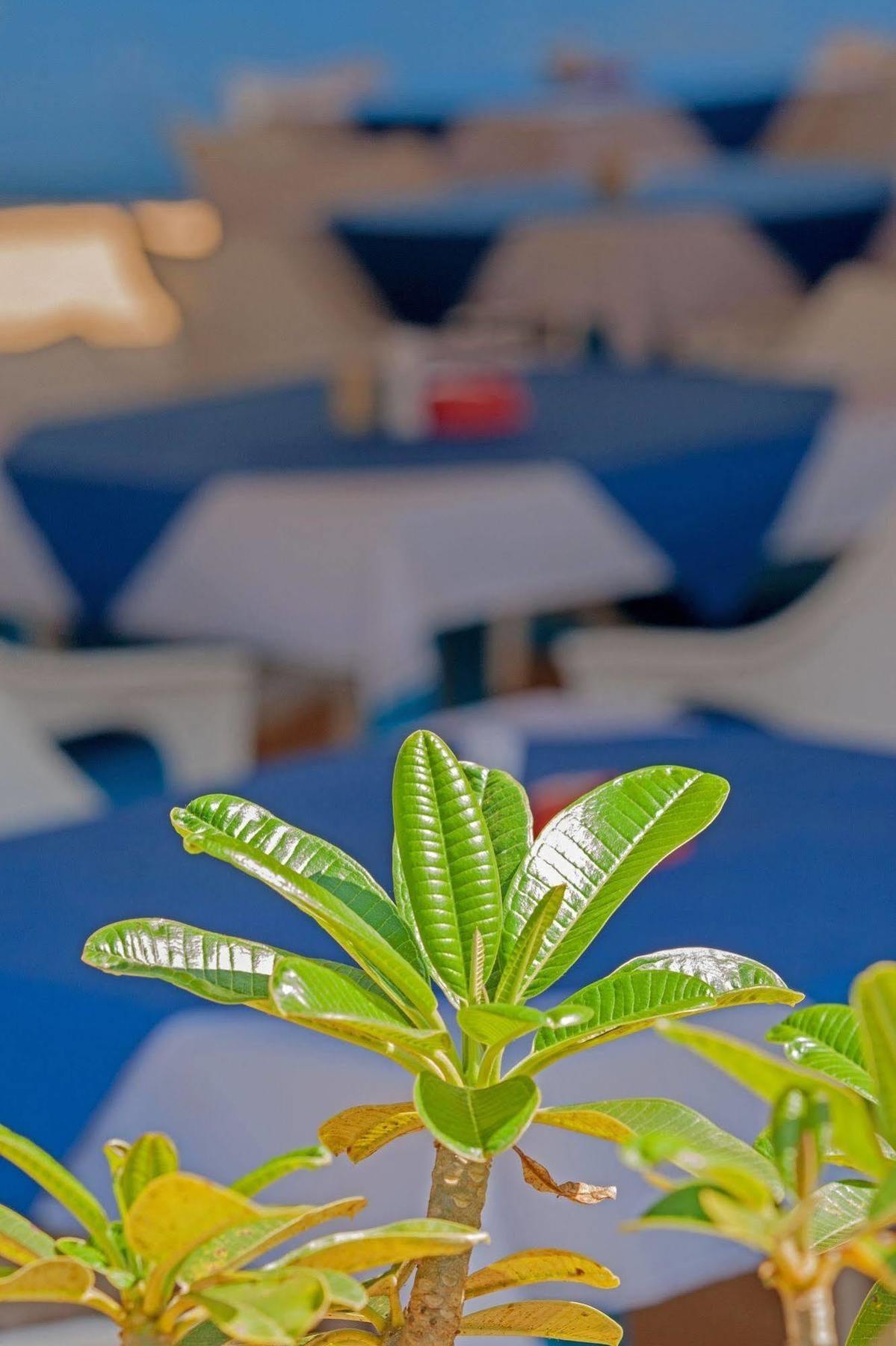 Bed and Breakfast Cuba Агонда Екстер'єр фото